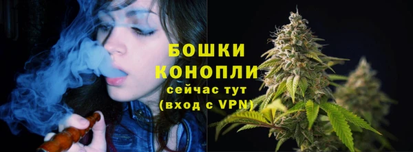 амф Володарск